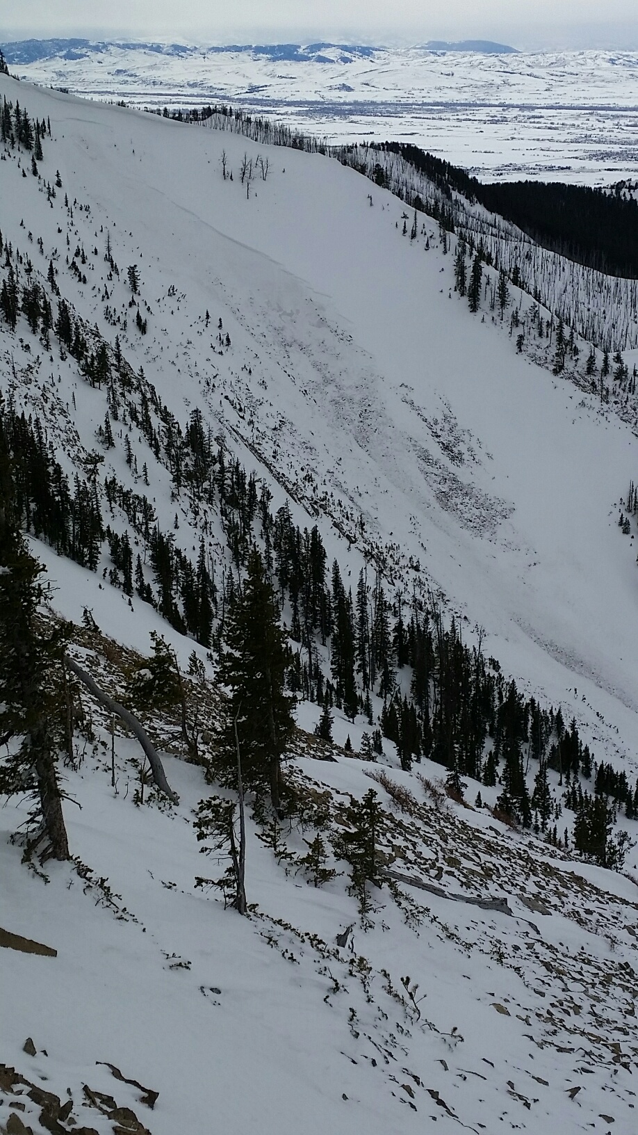 Bostwick Canyon Avalanche