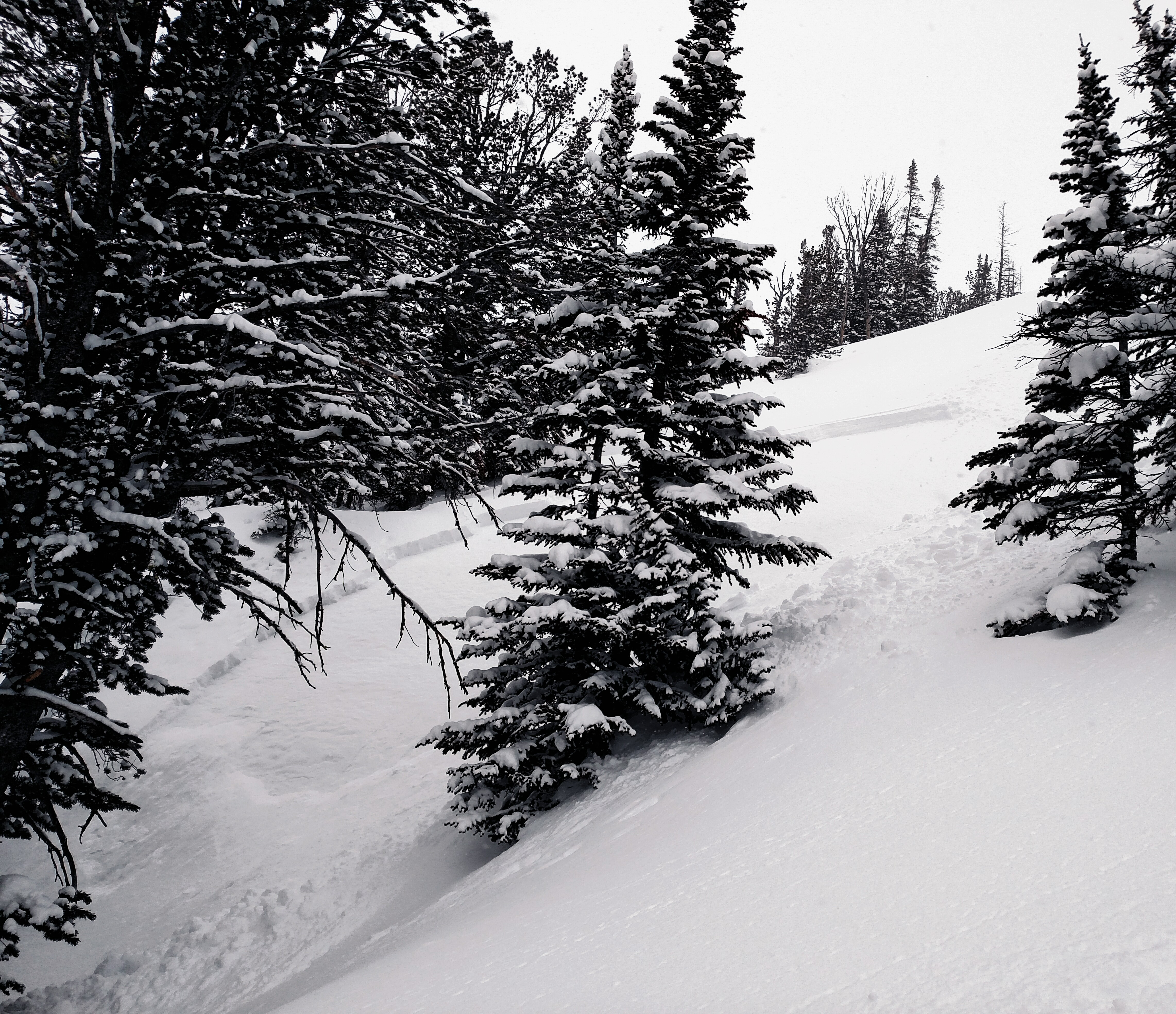 New Snow Instabilities, Cooke City 3/1/17