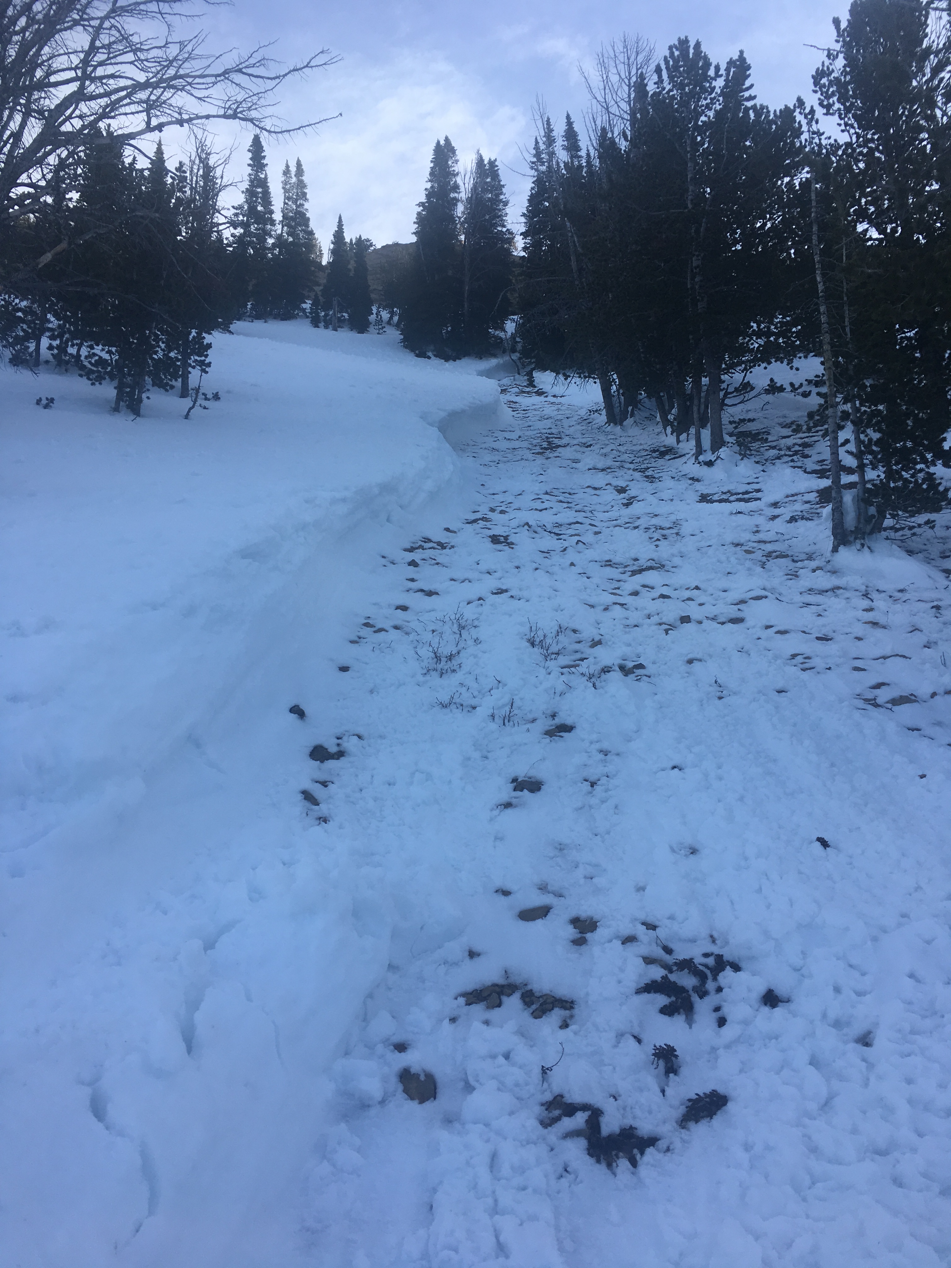 Deep wet loose slide in Beehive