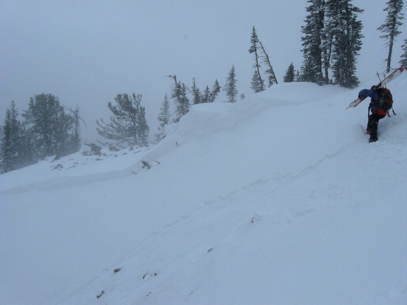 Human Triggered Avalanche-Taylor Fork