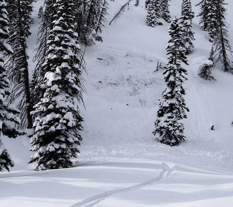 Small Avalanche near Cooke City