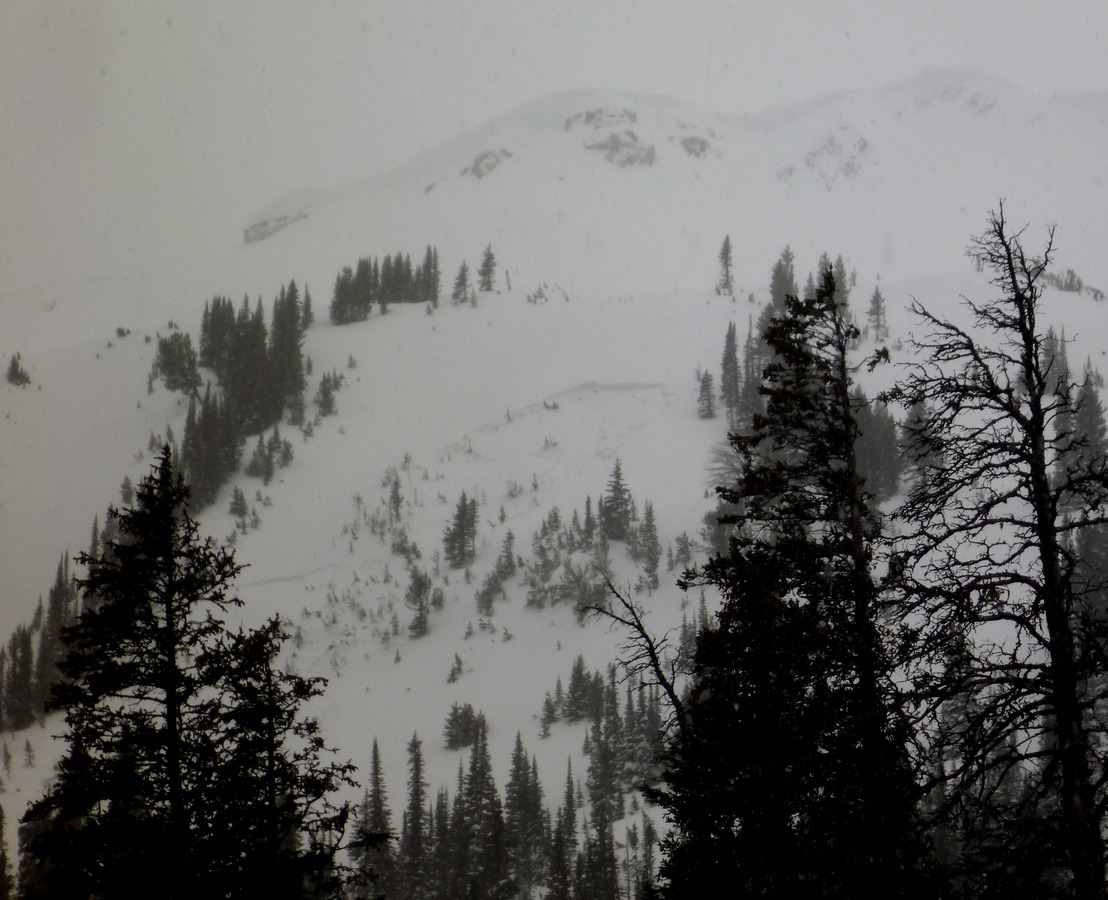 Avalanche near Cooke City on Henderson Mtn.