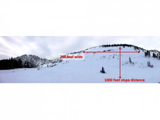 Avalanche near Ross Peak